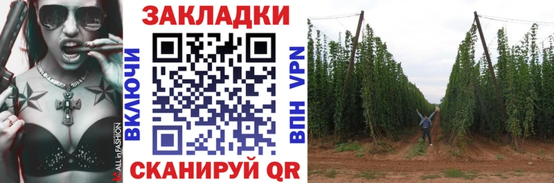 Купить закладку Бошки Шишки  Меф мяу мяу  ГАШИШ  Ветлуга
