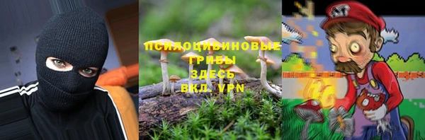 ешки Богородицк