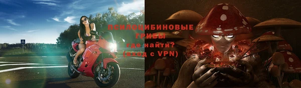 ALPHA PVP Богданович