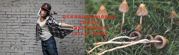 ALPHA PVP Богданович