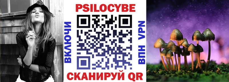 Купить где  Ветлуга  Галлюциногенные грибы Psilocybe 